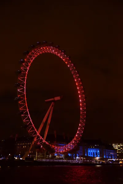 DSC_5717 (Large).JPG